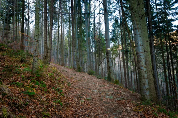 Bel automne paysage de montagne Beskidy — Photo