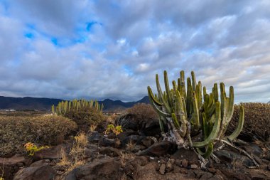 Güzel Tenerife manzara - Costa Adeje