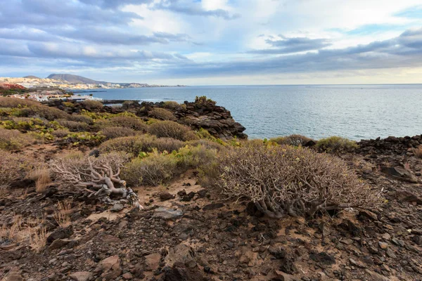 Prachtige landschap Tenerife - Costa Adeje — Stockfoto