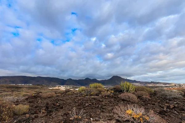 Krásná krajina Tenerife - Costa Adeje — Stock fotografie