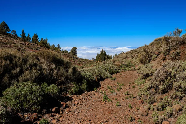 Beautiful Tenerife volcano - El Teide — Stock Photo, Image