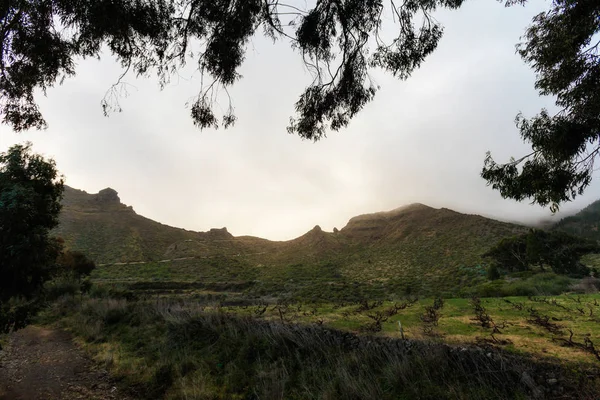 Bela paisagem de Tenerife - El Teide — Fotografia de Stock