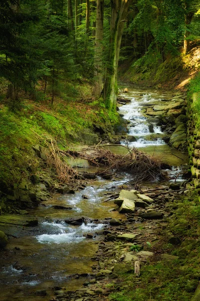 Güzel Roztoka vadide Rytro — Stok fotoğraf