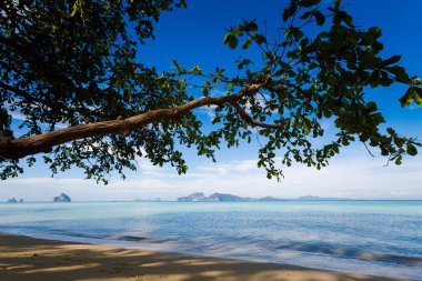 Koh Kradan tropikal peyzaj