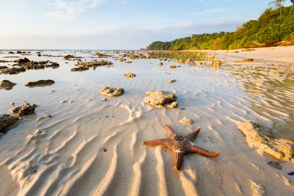 Paisaje tropical de Koh Kradan — Foto de Stock