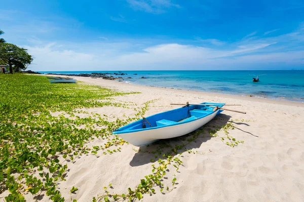 兰达海滩景观 — 图库照片