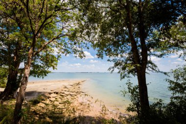 Susan Hoi Shell fosil mezarlığı