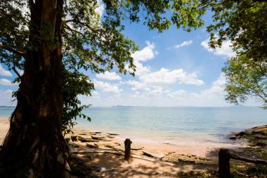 Susan Hoi Shell fosil mezarlığı