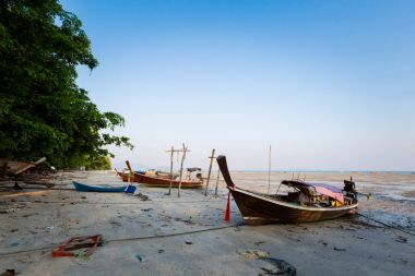 Koh Mook tropikal peyzaj