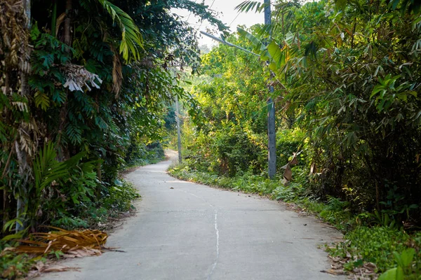 Krajobraz wyspy Koh Mook — Zdjęcie stockowe