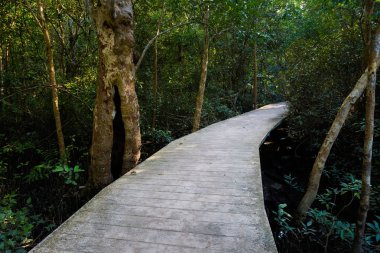 Krabi Tha Pom mangrov rezerv