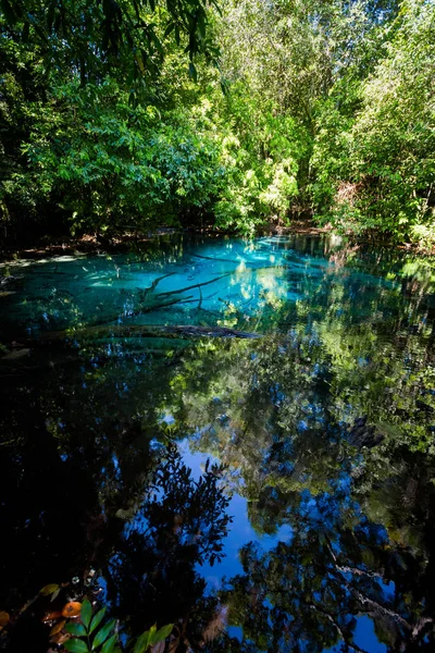 크 라비 블루 연못 국립 공원 — 스톡 사진