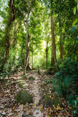 Khao Phanom Bencha Milli Parkı