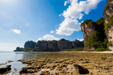 Tonsai Railay beach Krabi Thailand