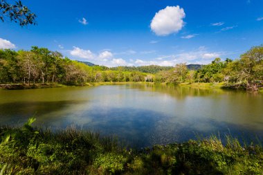 Krabi Güney Tayland tropikal gölde görüntüleyin. Güney Doğu Asya'da alınan Landscapel.
