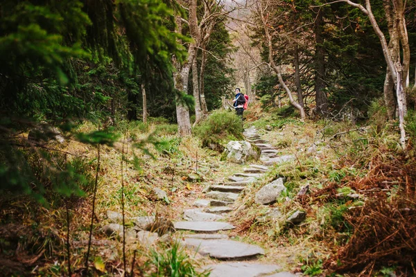 Turista Bella Montagna Babia Gora Sulla Strada Diablak Polacco Montagne — Foto Stock