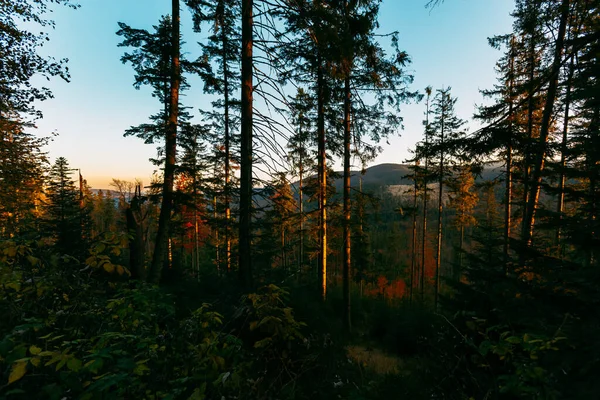 Hermoso Paisaje Amanecer Foto Tomada Esmalte Montañas Beskidy Babia Gora — Foto de Stock