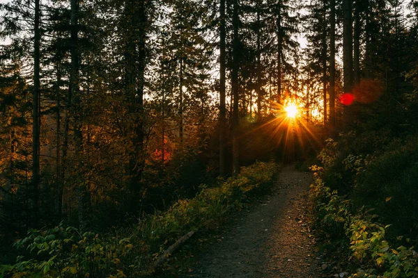 Prachtige Landschap Zonsopgang Foto Genomen Polish Beskidy Bergen Babia Gora — Stockfoto