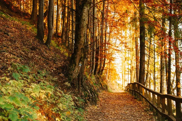 Prachtige Landschap Zonsopgang Foto Genomen Polish Beskidy Bergen Babia Gora — Stockfoto