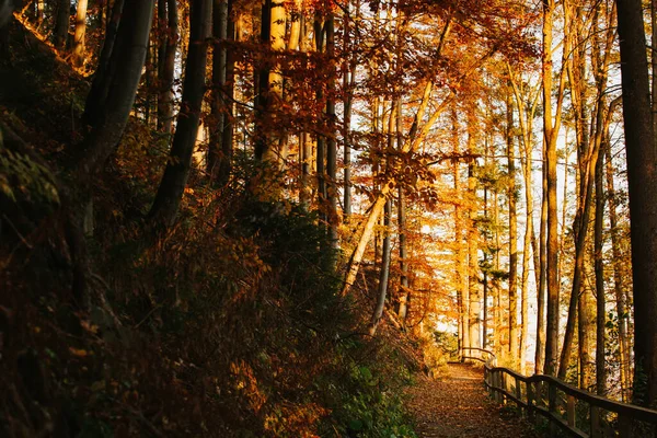 Prachtige Landschap Zonsopgang Foto Genomen Polish Beskidy Bergen Babia Gora — Stockfoto