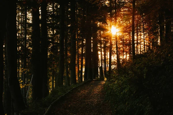 Schöne Landschaft Sonnenaufgang Foto Den Polnischen Beskiden Aufgenommen Babia Gora — Stockfoto