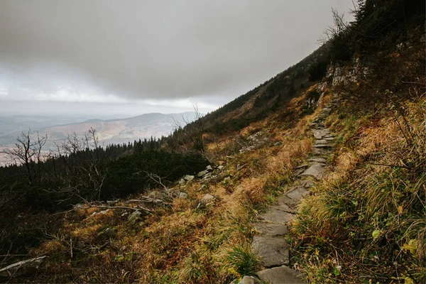 Beautiful Landscape Photo Taken Polish Beskidy Mountains Fog Babia Gora — Stock Photo, Image