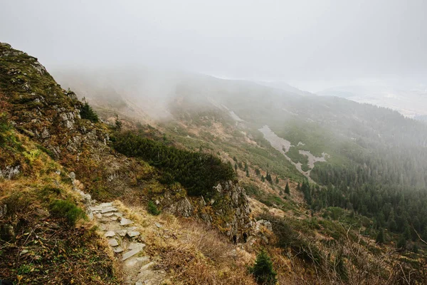 Hermosa Foto Paisaje Tomada Esmalte Montañas Beskidy Con Niebla Babia — Foto de Stock