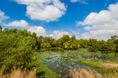 Vietnam 'ın tropik Mekong Deltası' nda yaz manzarası. Güneydoğu Asya 'da motosiklet gezisi.