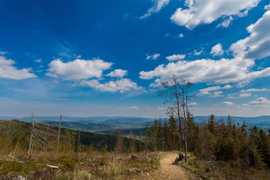 Güneşli baharda, Romanka üzerinden Rysianka 'ya giderken Beskidy' nin Polonya dağlarında çekilmiş güzel bir manzara. Yürüyüş sırasında çekilen manzara.