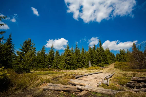 Beau Panorama Pris Dans Les Montagnes Polonaises Beskidy Sur Chemin — Photo