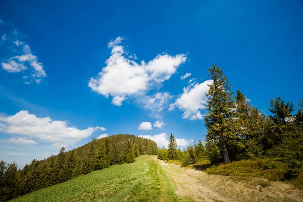 Beautiful Panorama Taken Polish Mountains Beskidy Way Rysianka Romanka Sunny — Stock Photo, Image