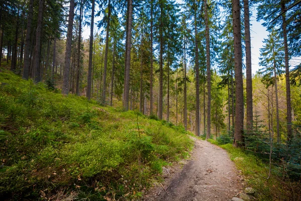 Hermoso Panorama Tomado Las Montañas Polacas Beskidy Camino Rysianka Vía — Foto de Stock