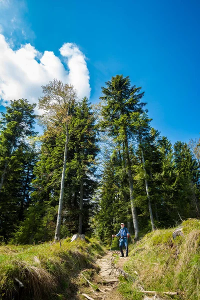 Vackert Panorama Med Seniorturist Vandring Polska Berg Beskidy Väg Till — Stockfoto