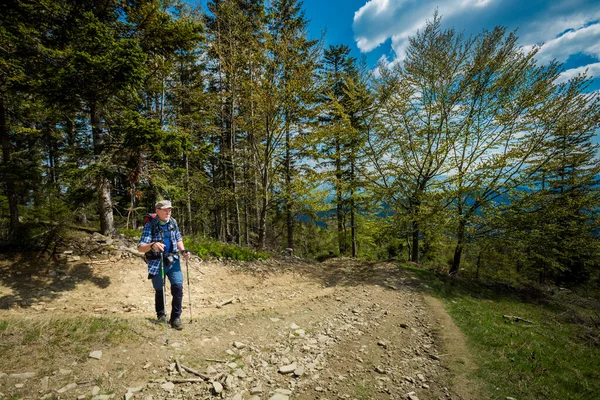 Bellissimo Panorama Con Anziano Turista Avendo Trekking Preso Montagne Polacche — Foto Stock