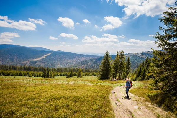 Bellissimo Panorama Con Anziano Turista Avendo Trekking Preso Montagne Polacche — Foto Stock