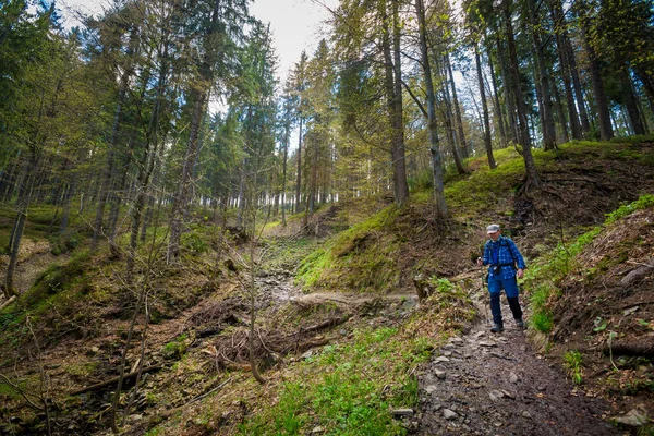 Bellissimo Panorama Con Anziano Turista Avendo Trekking Preso Montagne Polacche — Foto Stock