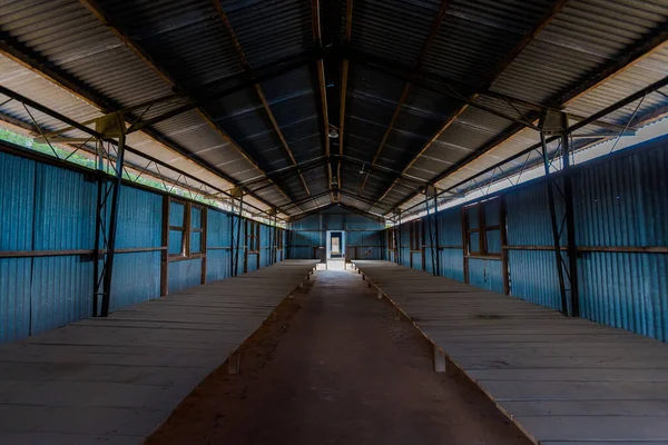 Jelenetek Polgárháború Kókuszfa Börtönben Phu Quoc Sziget Egy Thoi Terület — Stock Fotó