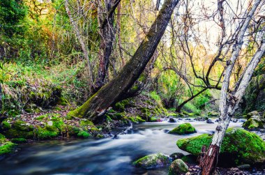 Uzun sergi birinde Cadiz eyaletinin en çok ziyaret edilen yollar. Majaceite Nehri