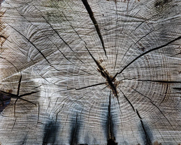 Zagen van hout met einde graan patroon — Stockfoto