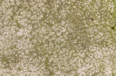 İlginç dokulu deseni ile beton zemin