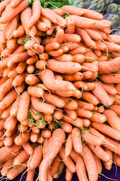 Frisch geerntete Möhren auf dem Markt — Stockfoto