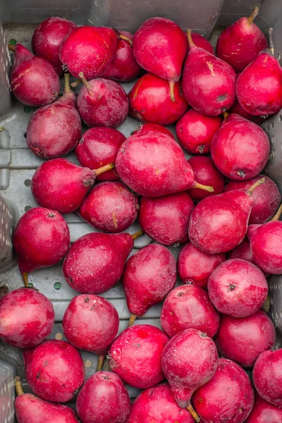 Display of fresh red pears at market — Stock Photo, Image