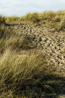 Kumların üzerinden kumul yıpranmış yolunda