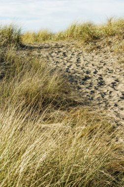 Kumların üzerinden kumul yıpranmış yolunda