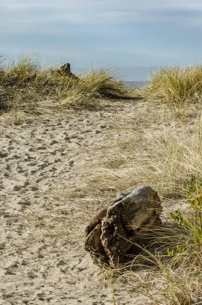 Versleten pad in het zand over het Duin — Stockfoto