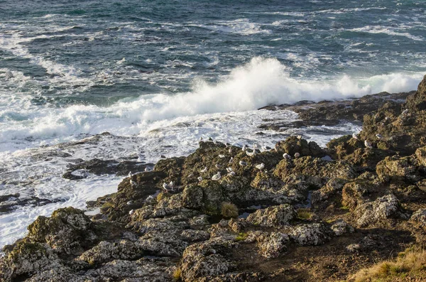Vlny na břeh na skalnaté pobřeží — Stock fotografie