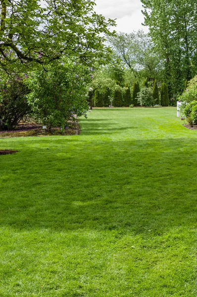 Зеленый газон и сад — стоковое фото