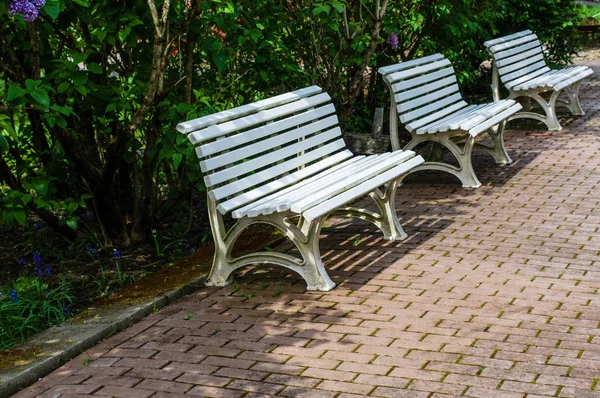 Bankjes langs een wandelpad in een park — Stockfoto