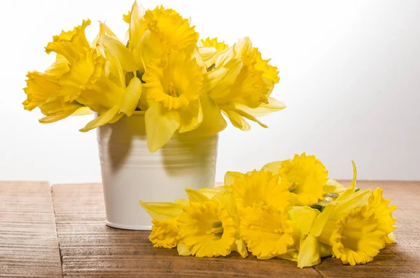Narcisos amarillos en cubo blanco —  Fotos de Stock