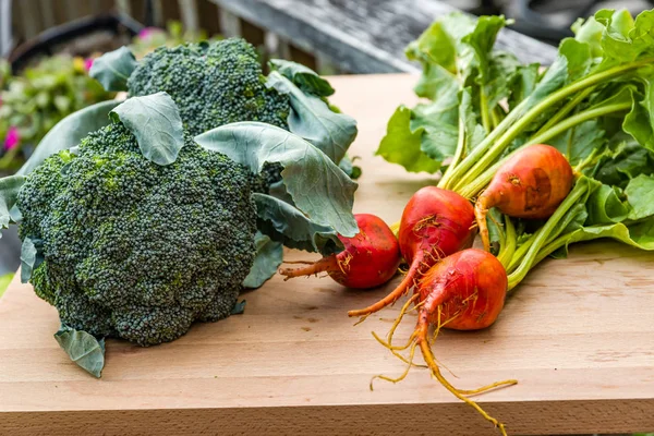 Gemüsegruppe aus dem Garten — Stockfoto